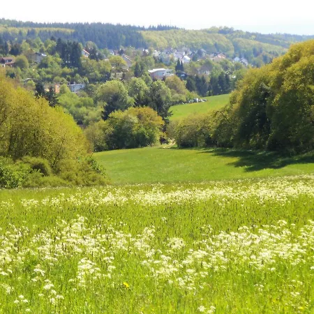 Am Rheinsteig